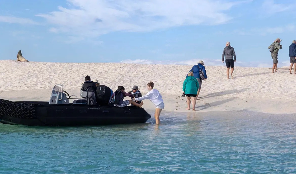 Private zodiac excursion exploring Galapagos coastline during tailor made journey
