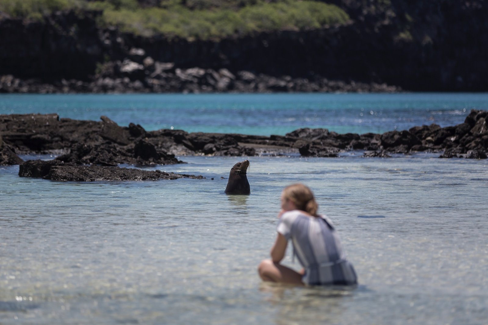 Remote protected beach experience in the Galápagos Islands