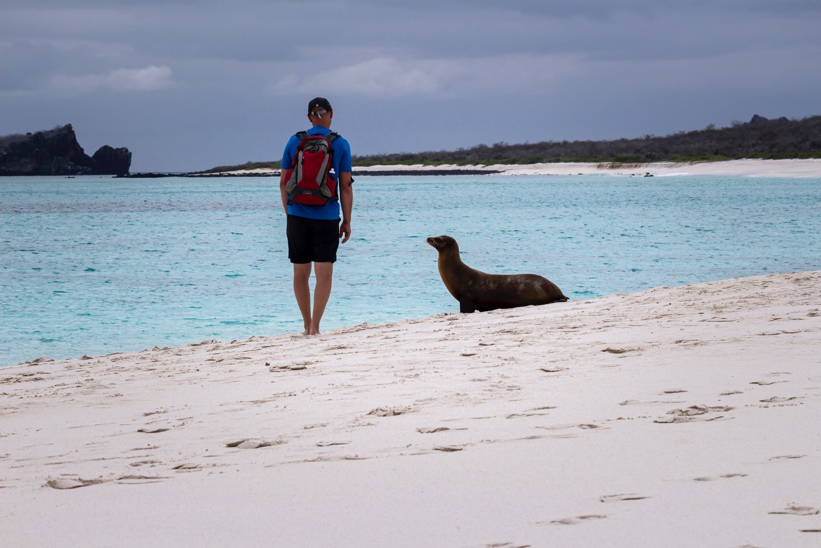 Luxury traveler watching sea lions on a beach in the Galápagos Islands