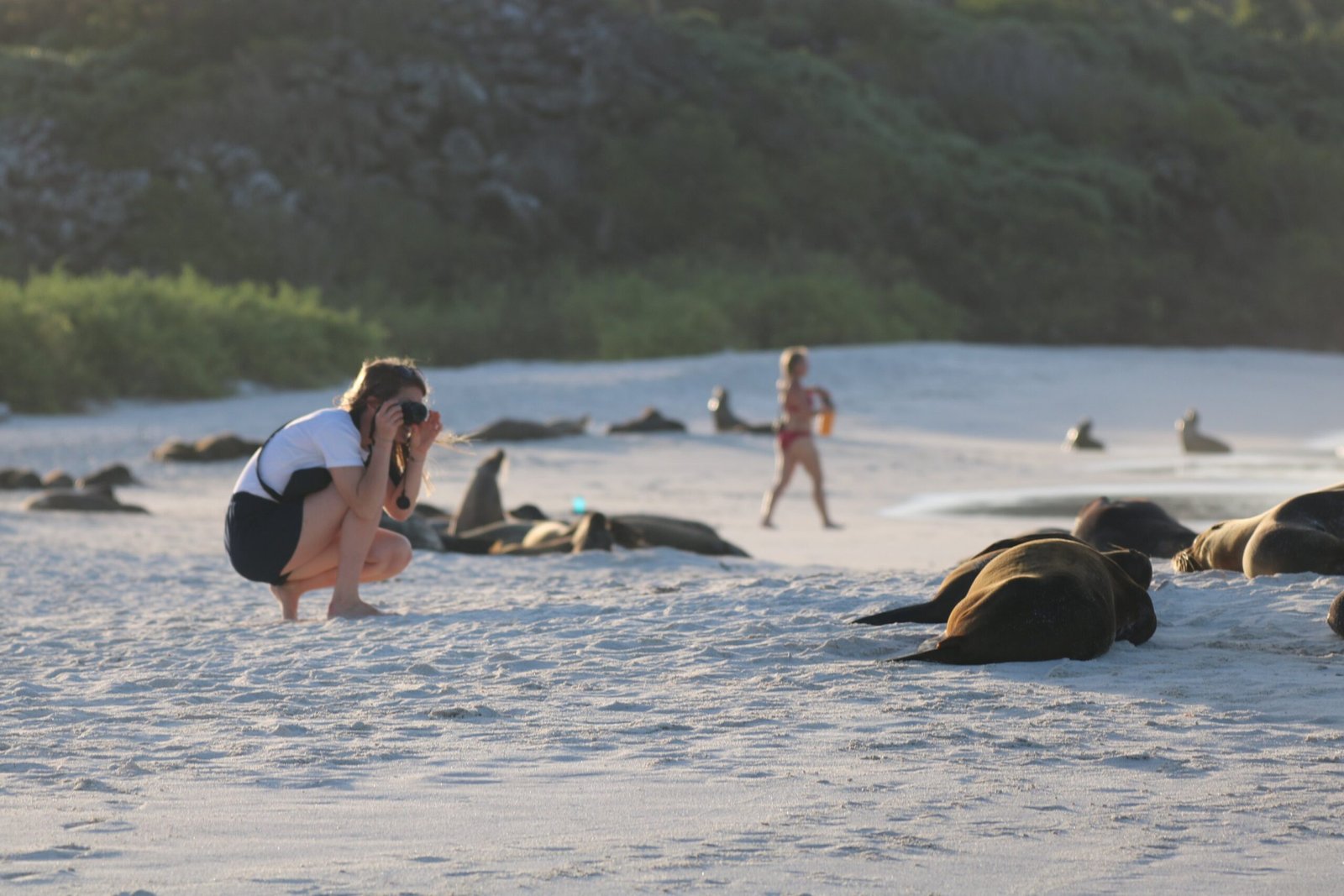 Luxury expedition for photography travel in the Galápagos Islands