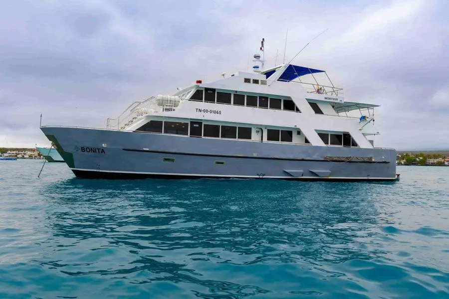 bonita galapagos Aq2Gq2NP4NF96J6d