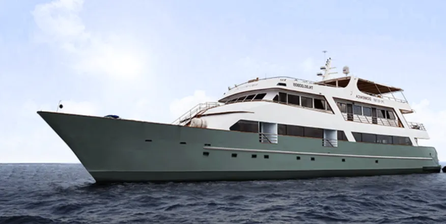 seastar galapagos YbN4q69pZqcrnVN8