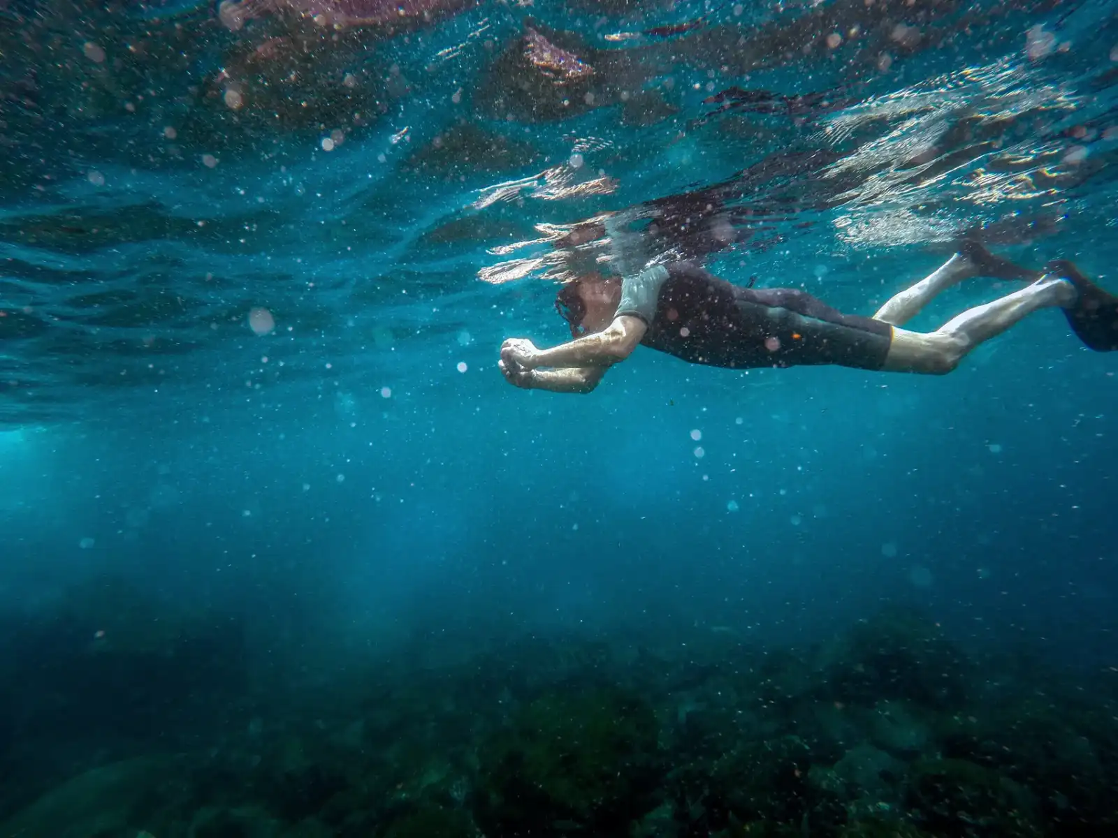 Galapagos experiences gallery