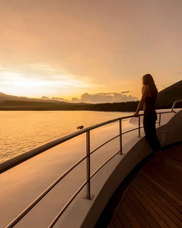 Person standing at the boat railing during a golden sunset