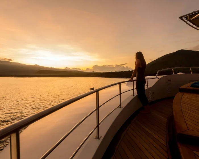 Person standing at the boat railing during a golden sunset