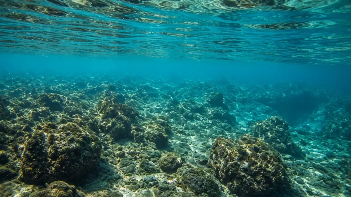 Clear turquoise Galápagos snorkeling water over a rocky volcanic reef with sunlight caustics